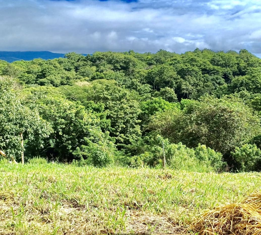 Peaceful Lake View Lot in San Luis, Tilaran, Guanacaste, photo 2