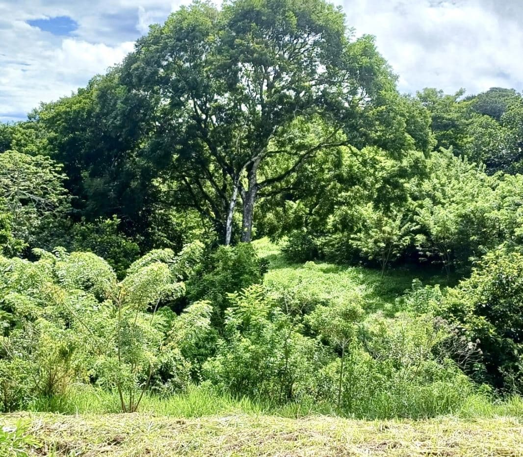 Peaceful Lake View Lot in San Luis, Tilaran, Guanacaste, photo 11