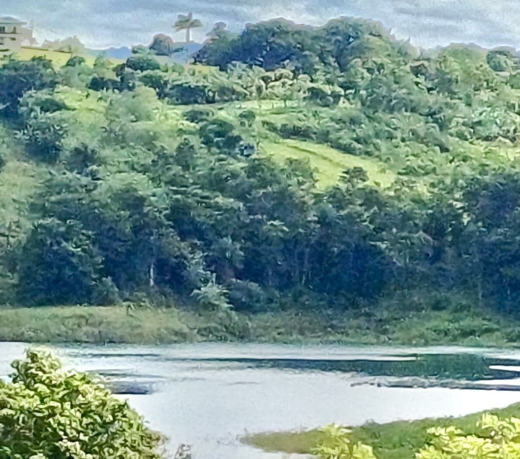 Peaceful Lake View Lot in San Luis, Tilaran, Guanacaste, photo 3