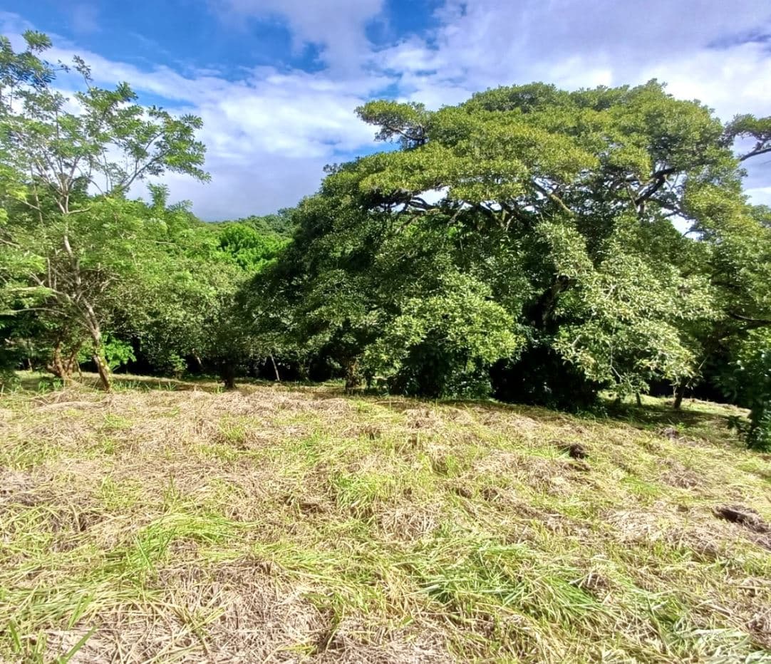 Peaceful Lake View Lot in San Luis, Tilaran, Guanacaste, photo 4