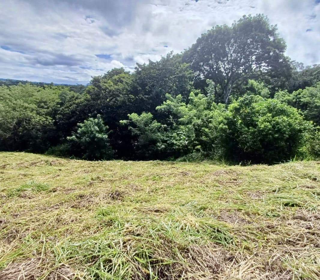 Peaceful Lake View Lot in San Luis, Tilaran, Guanacaste, photo 7