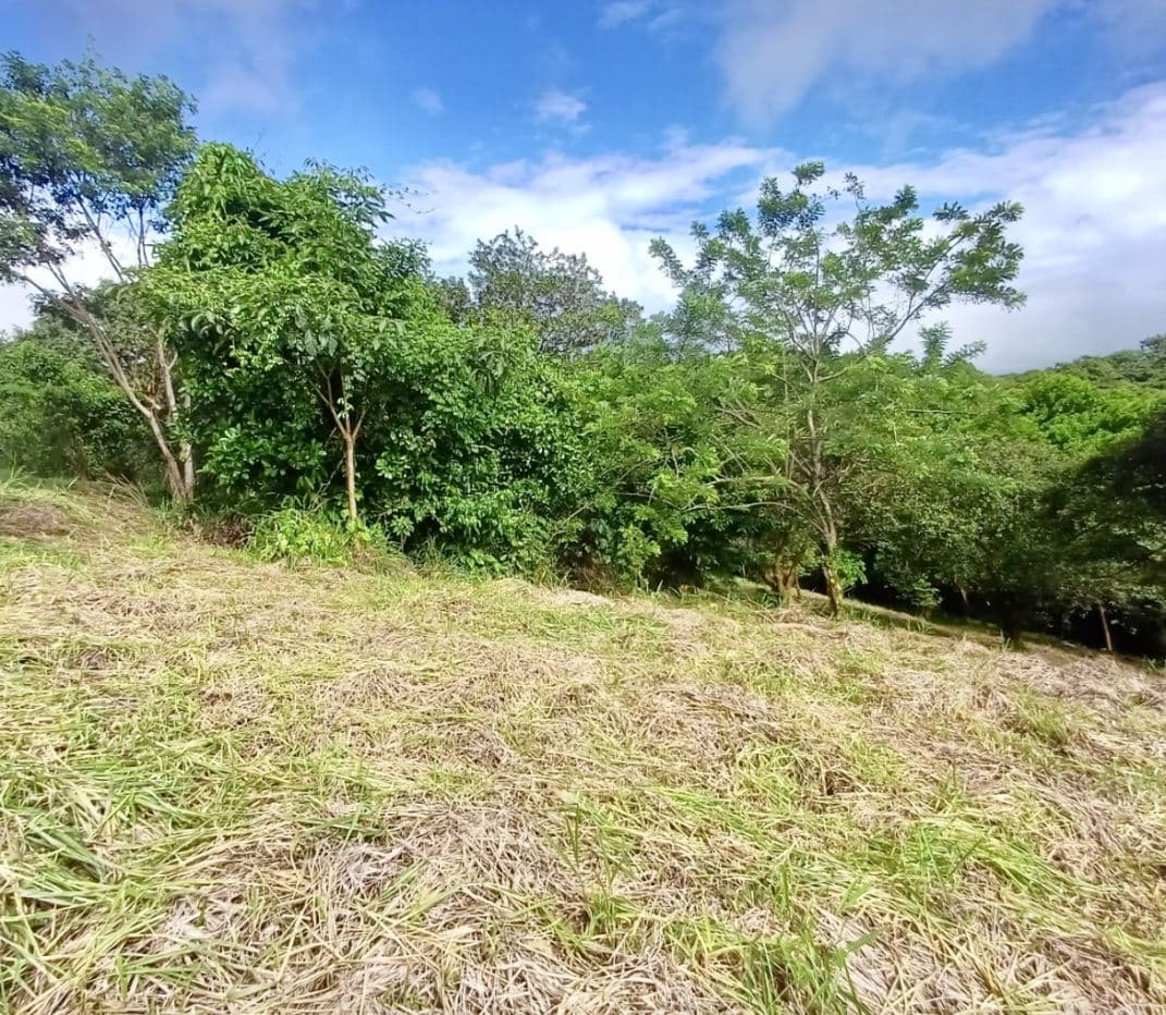 Peaceful Lake View Lot in San Luis, Tilaran, Guanacaste, photo 9