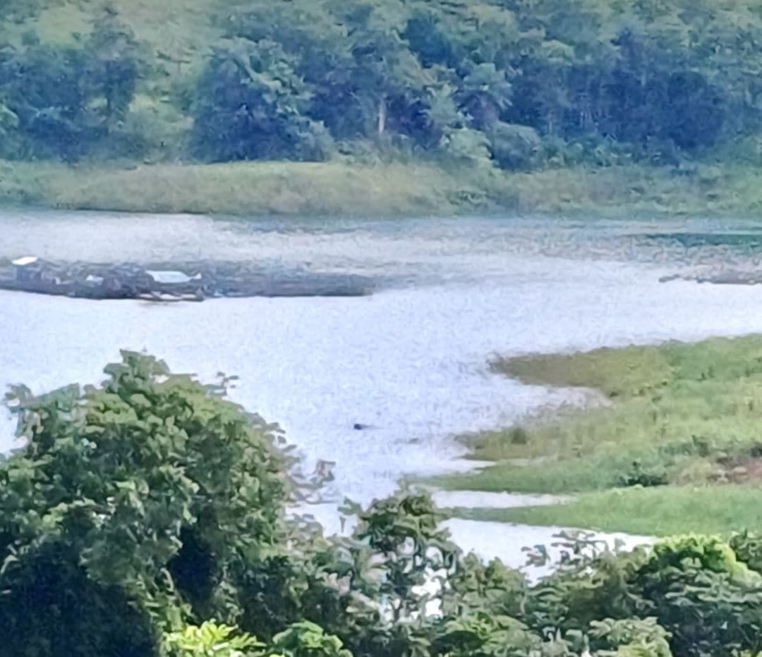Peaceful Lake View Lot in San Luis, Tilaran, Guanacaste, photo 8