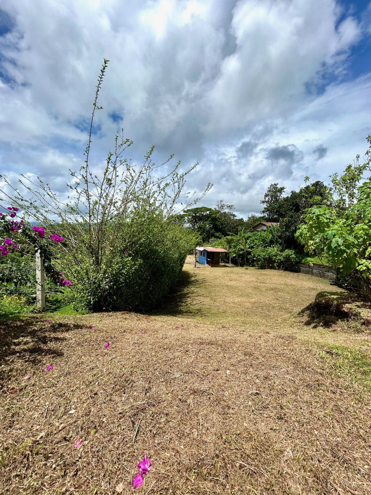 Modern Tiny Homes with Lake Arenal Views + Expansion Potential, photo 16
