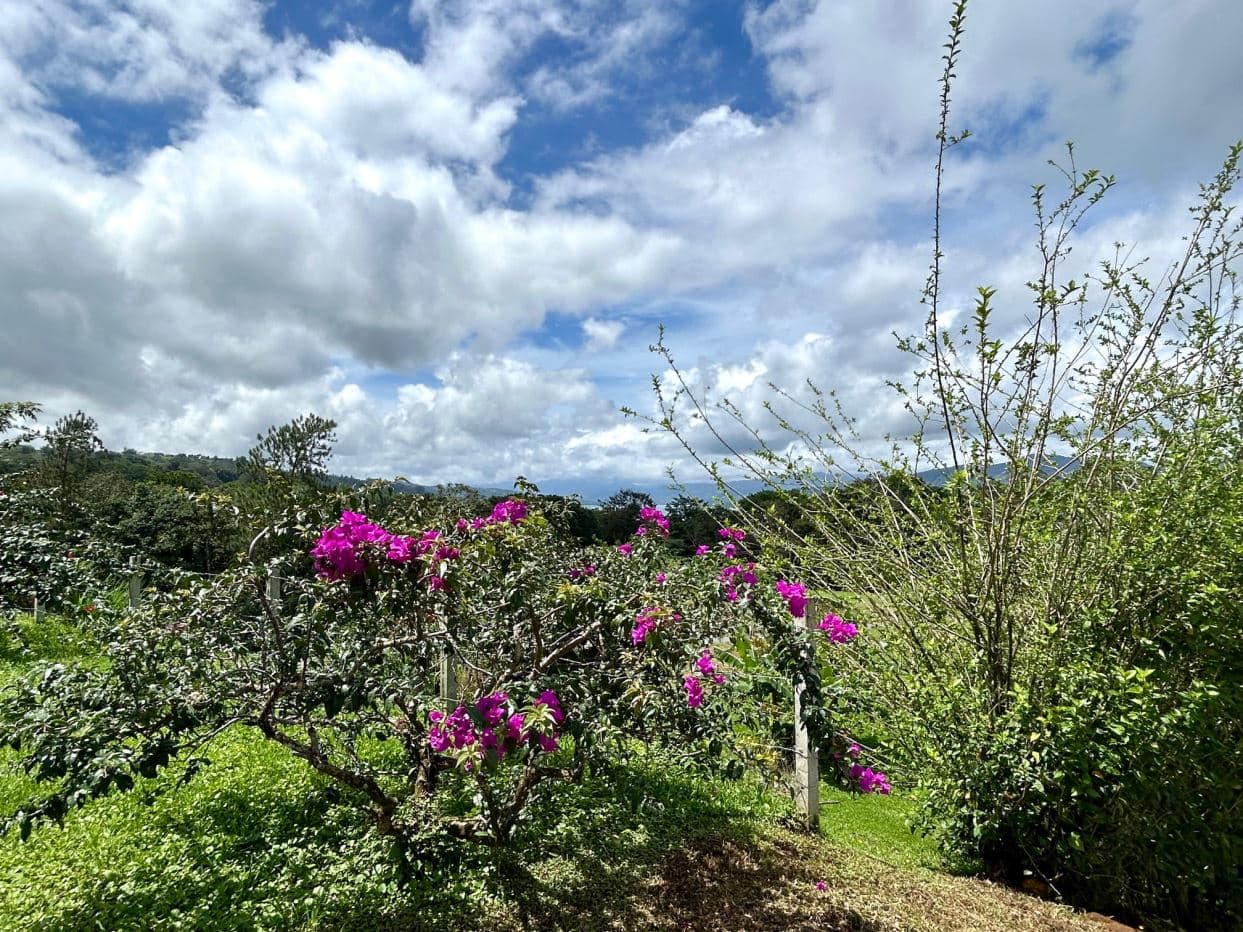 Modern Tiny Homes with Lake Arenal Views + Expansion Potential, photo 17