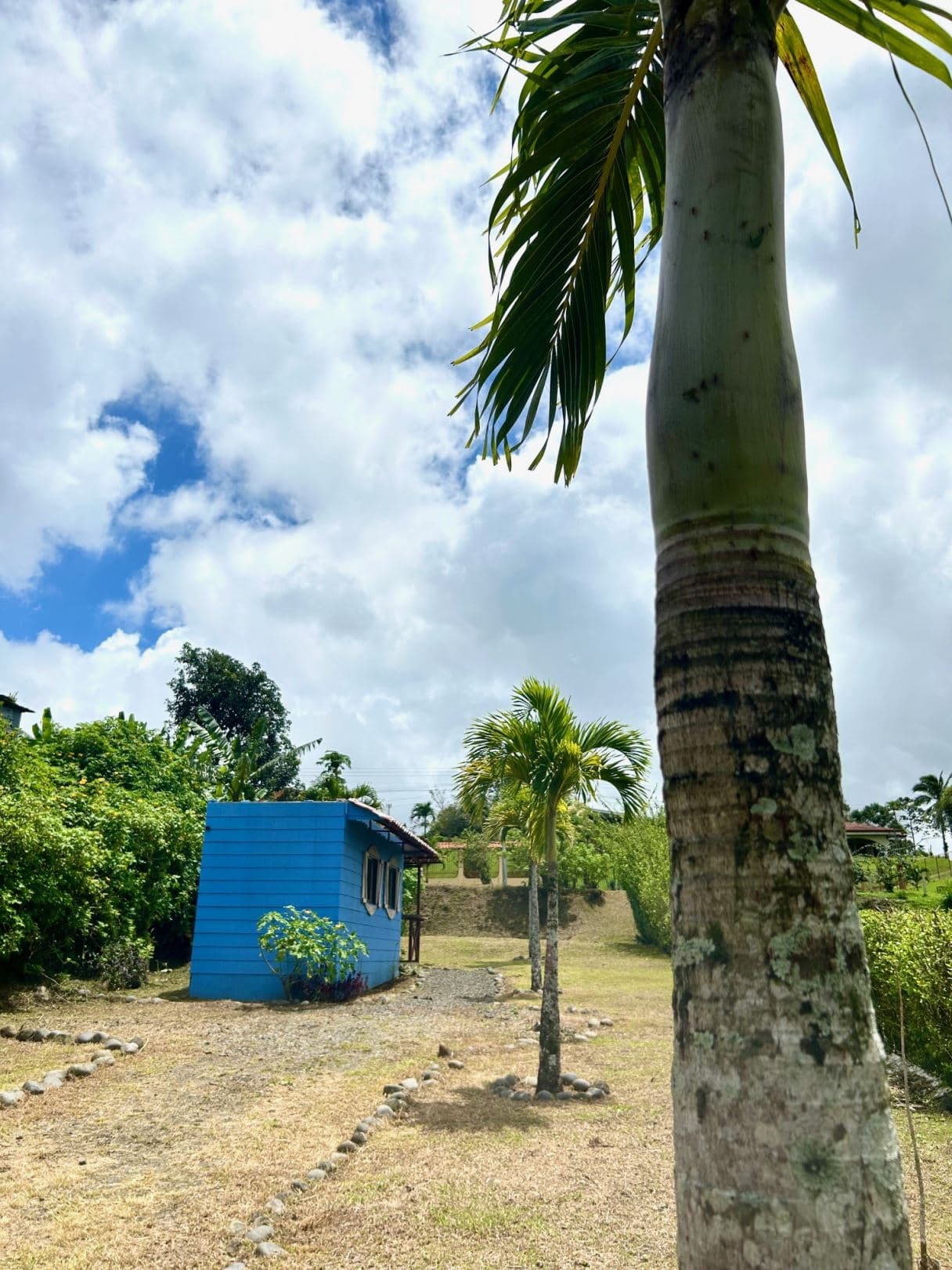 Modern Tiny Homes with Lake Arenal Views + Expansion Potential, photo 11