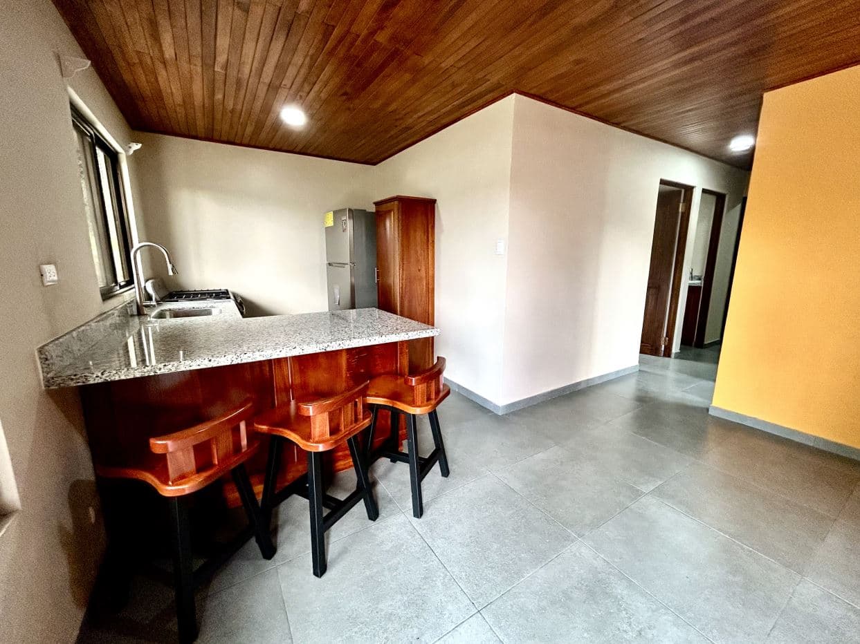 Renovated & Modern 2 Bedroom Home in Nuevo Arenal - Great Starter, Rental or Retirement Option with SELLER FINANCING!, photo 4
