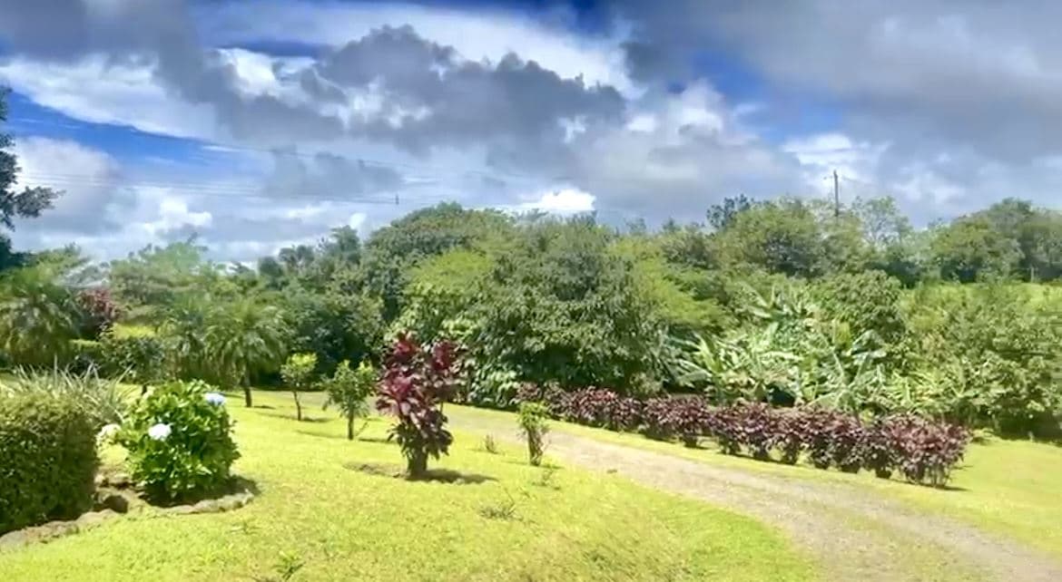 Breathtaking Volcano & Mountain View Home in Tranquil Lake Arenal Gated Community, photo 11