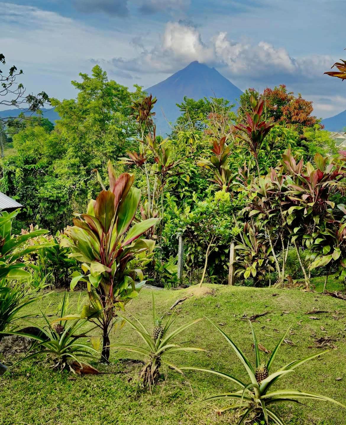Modern Home in El Castillo with Arenal Lake & Volcano Views, Development Potential & 5-Star AirBnB Success, photo 26
