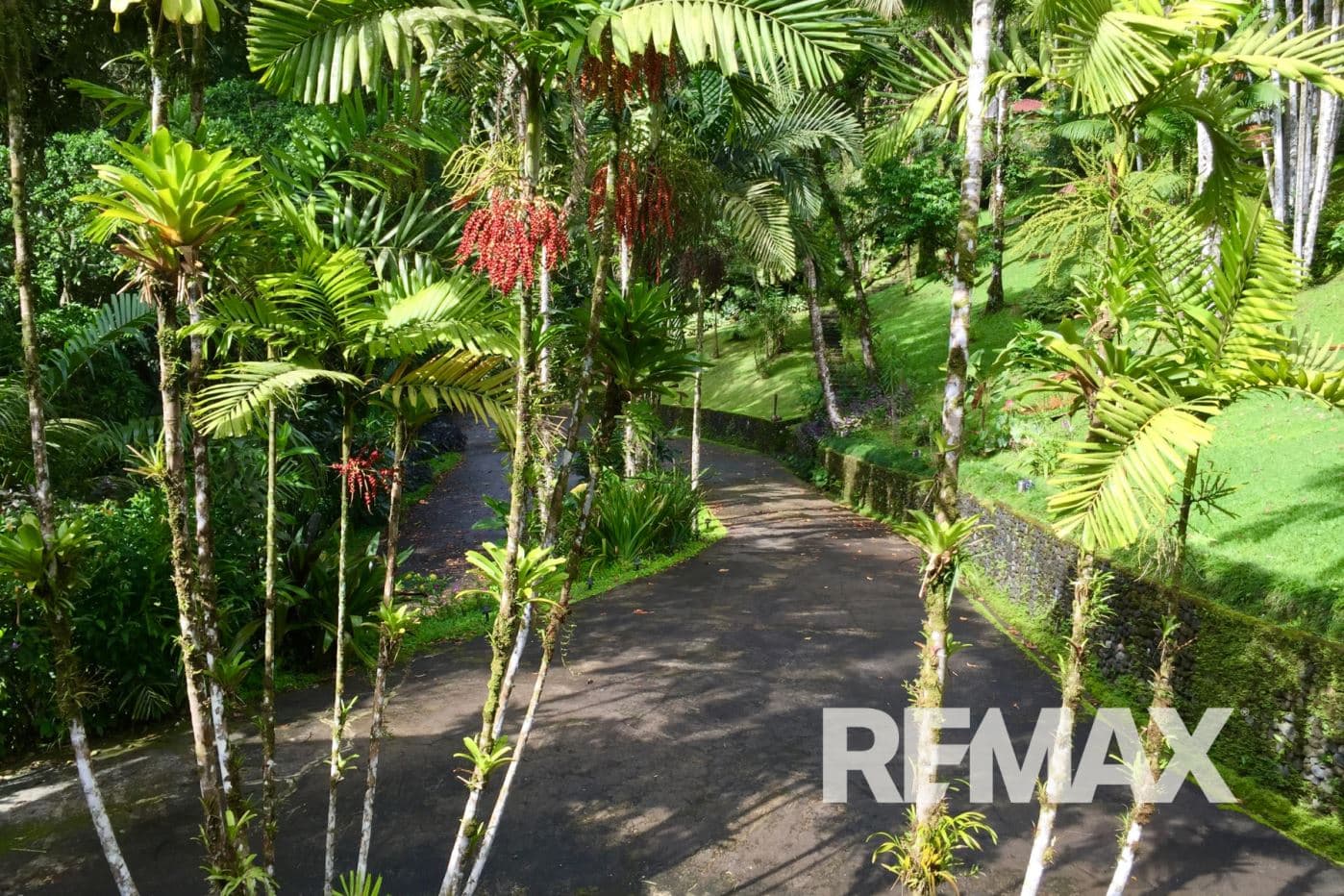 Welcome to Villa Decary a Lake Arenal Botanical Estate and a Landmark Spanish Colonial Hospitality Property Near La Fortuna Costa Rica, photo 35