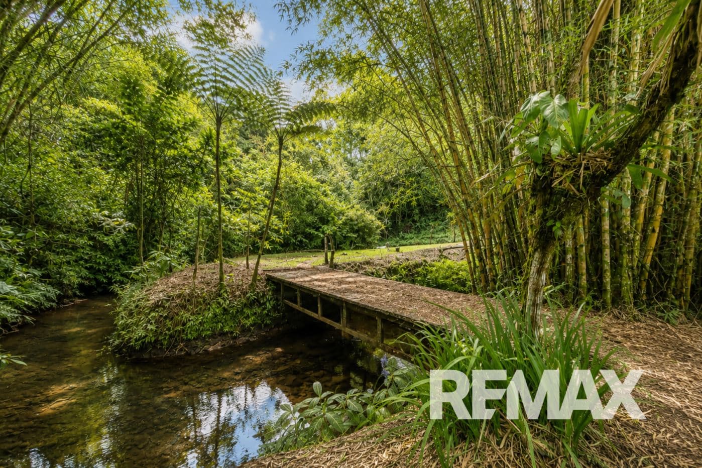 Private 15-Acre Lake Arenal Estate Backing onto Nature Reserve, photo 32