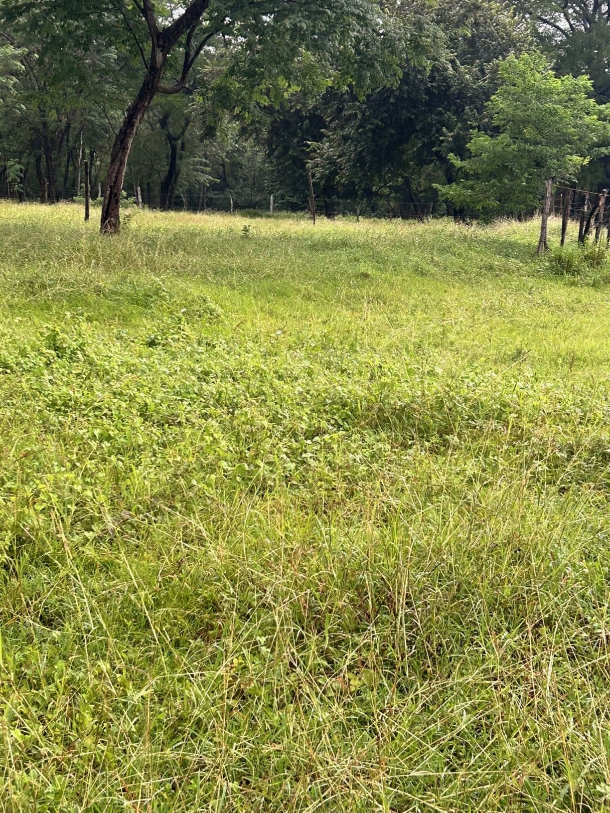 Lot Barrio San Antonio, photo 7