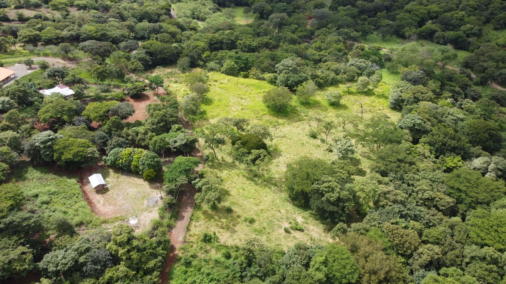 Quinta del Llano de Cañas – Nature, Investment, and Development in Cañas, Guanacaste, photo 3