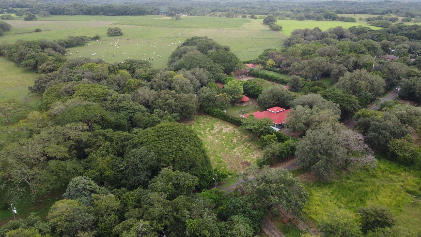 REDUCED BY $25.000 Estate in La Caraña Residential Community – Liberia, Guanacaste, Costa Rica, photo 16