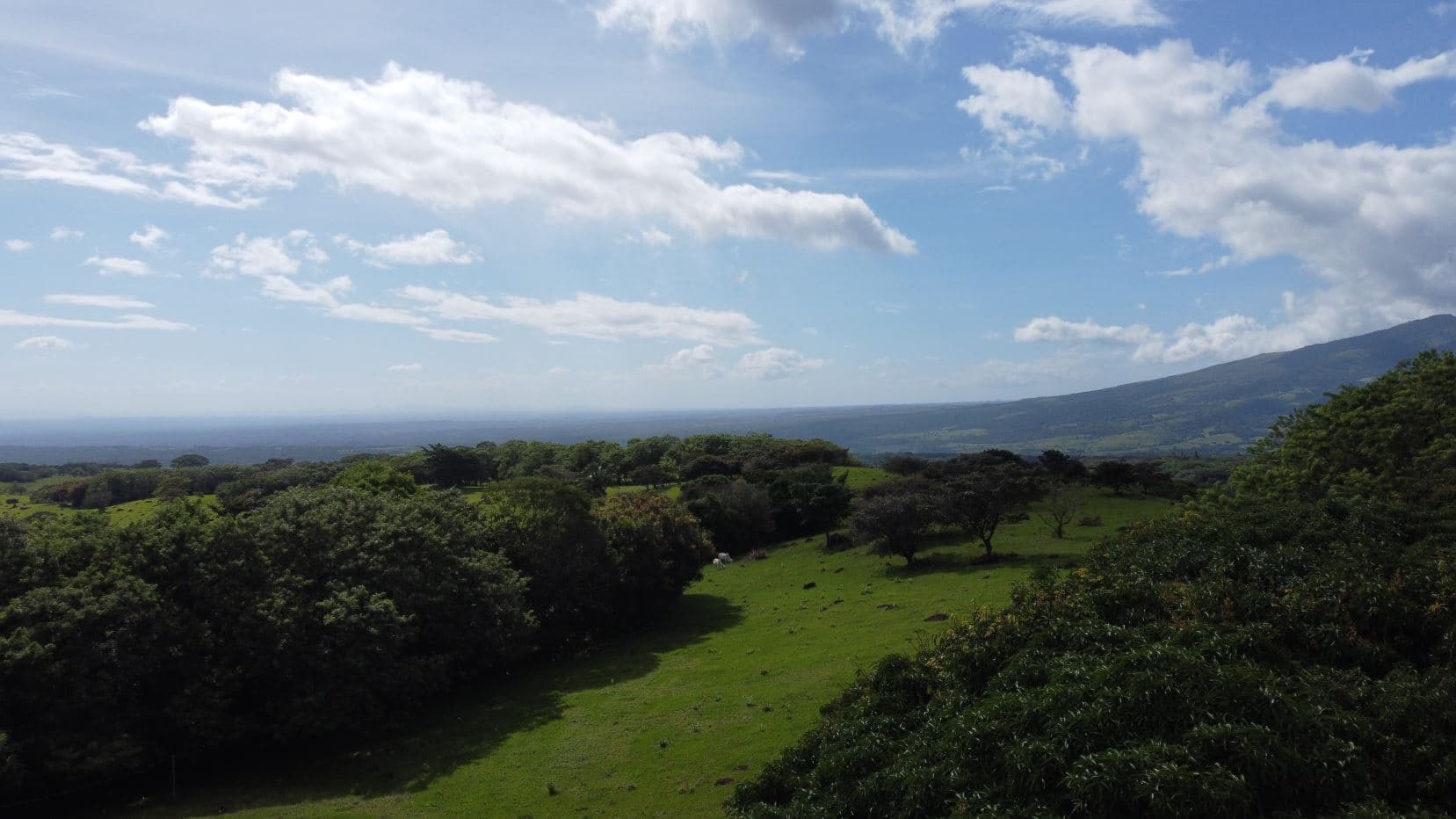 Farm –Nueva Guatemala, Palmira de Cañas, Guanacaste, Costa Rica, photo 17