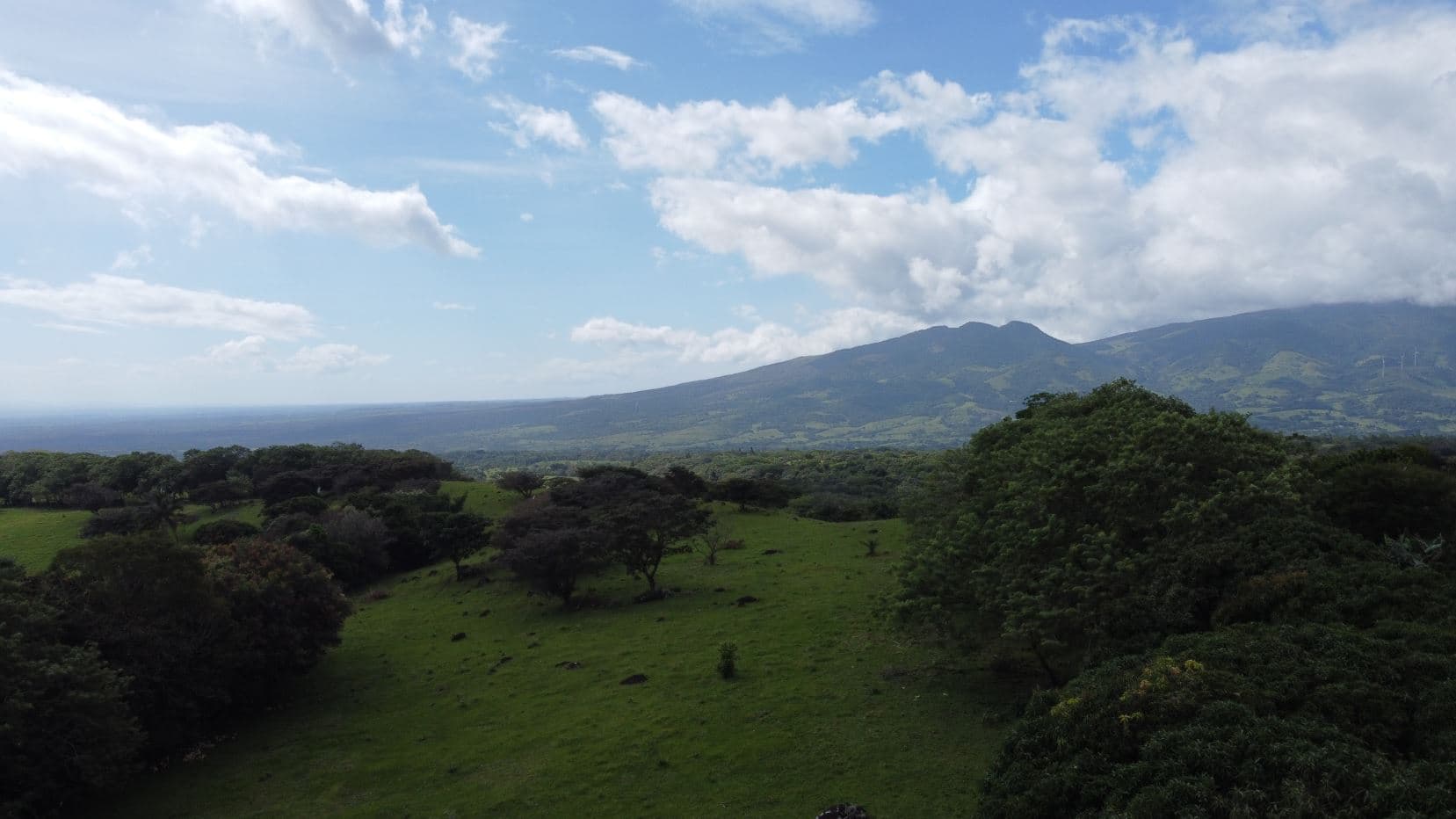 Farm –Nueva Guatemala, Palmira de Cañas, Guanacaste, Costa Rica, photo 18
