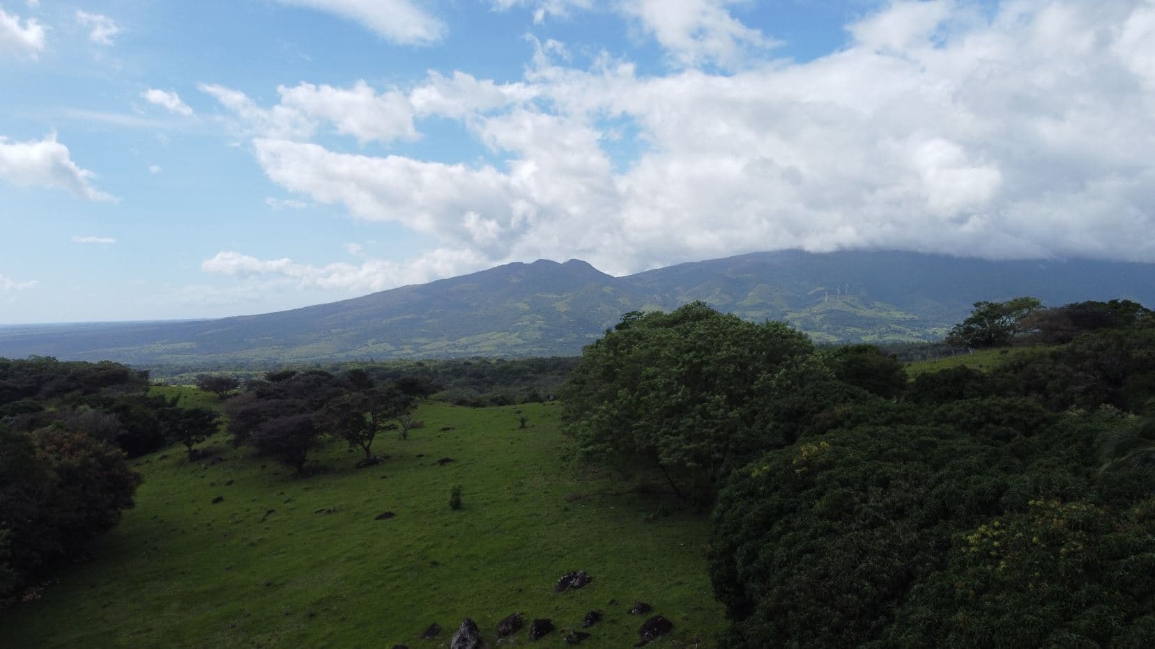 Farm –Nueva Guatemala, Palmira de Cañas, Guanacaste, Costa Rica, photo 10
