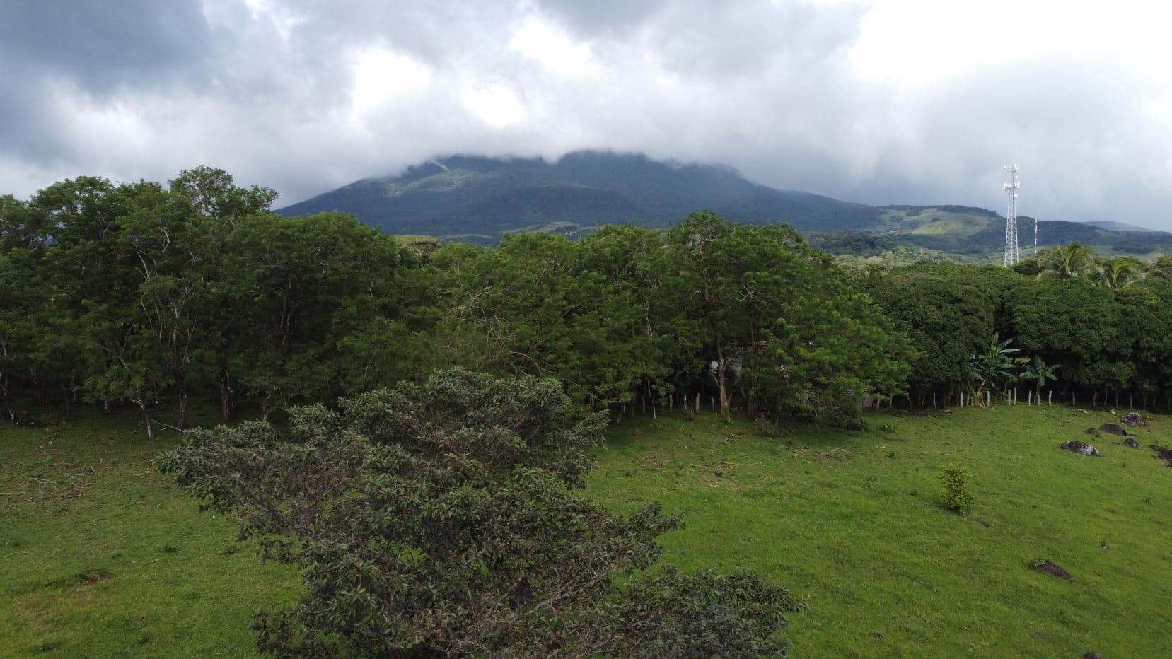 Farm –Nueva Guatemala, Palmira de Cañas, Guanacaste, Costa Rica, photo 12