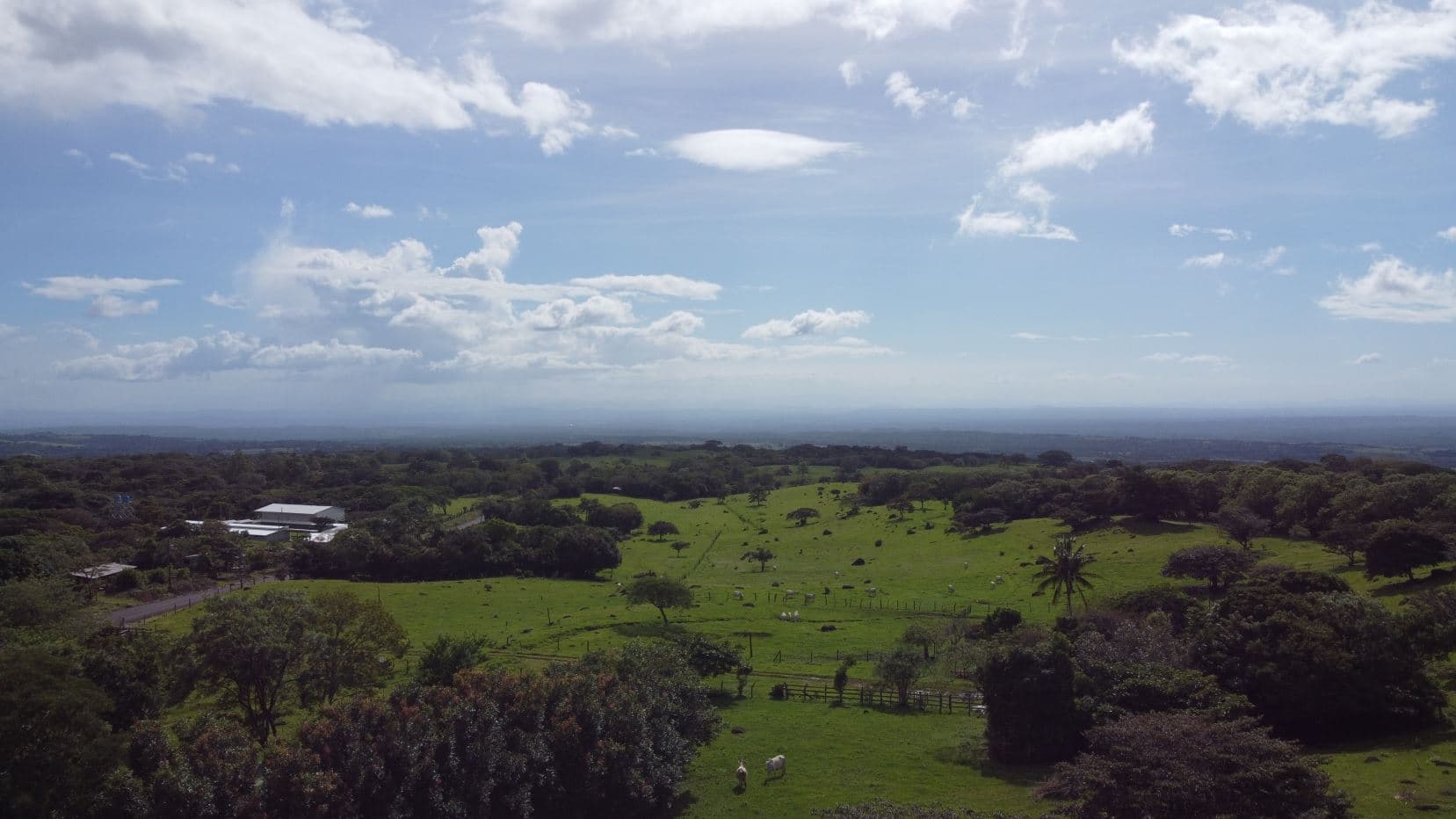 Farm –Nueva Guatemala, Palmira de Cañas, Guanacaste, Costa Rica, photo 14