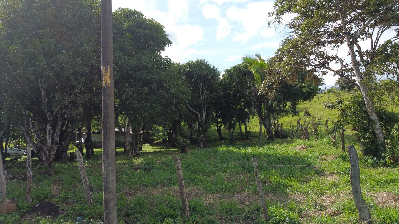 Farm –Nueva Guatemala, Palmira de Cañas, Guanacaste, Costa Rica, photo 13