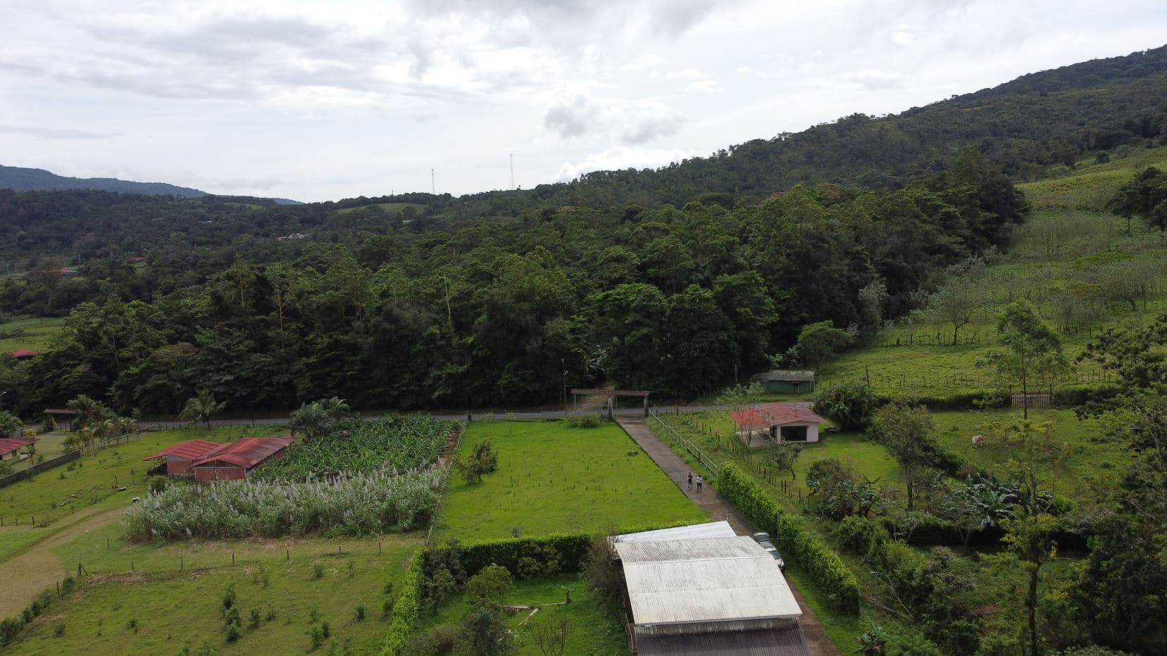 Quinta Bijagua Views of Tenorio Volcano, photo 7