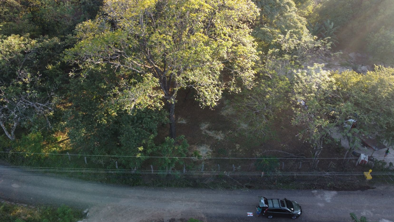 Lot for Sale in Sandillal de Cañas, Guanacaste, photo 5