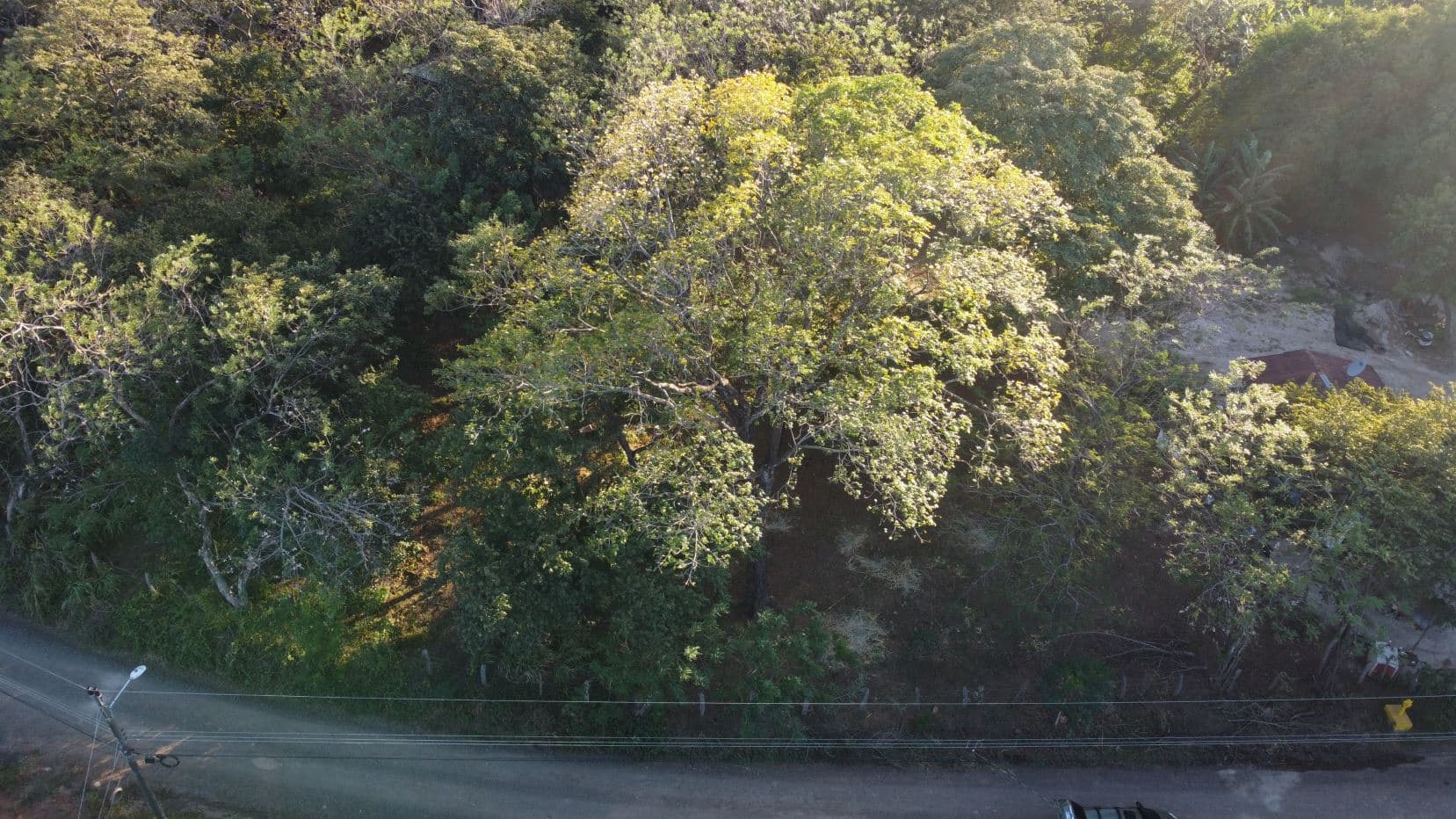 Lot for Sale in Sandillal de Cañas, Guanacaste, photo 6