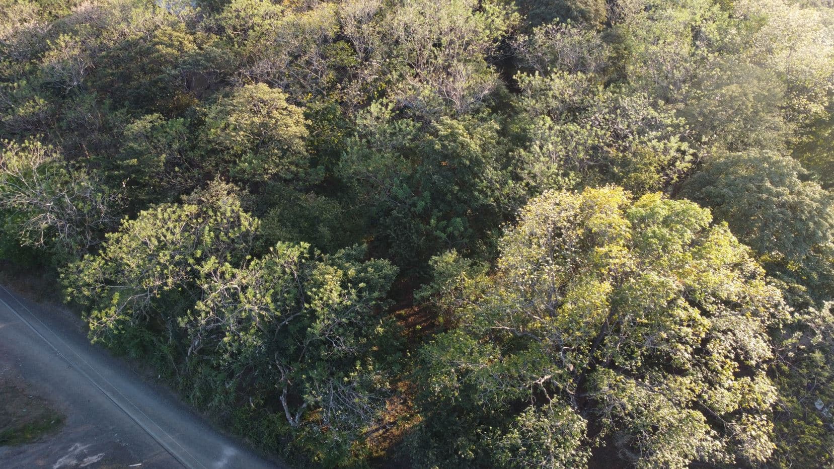 Lot for Sale in Sandillal de Cañas, Guanacaste, photo 14