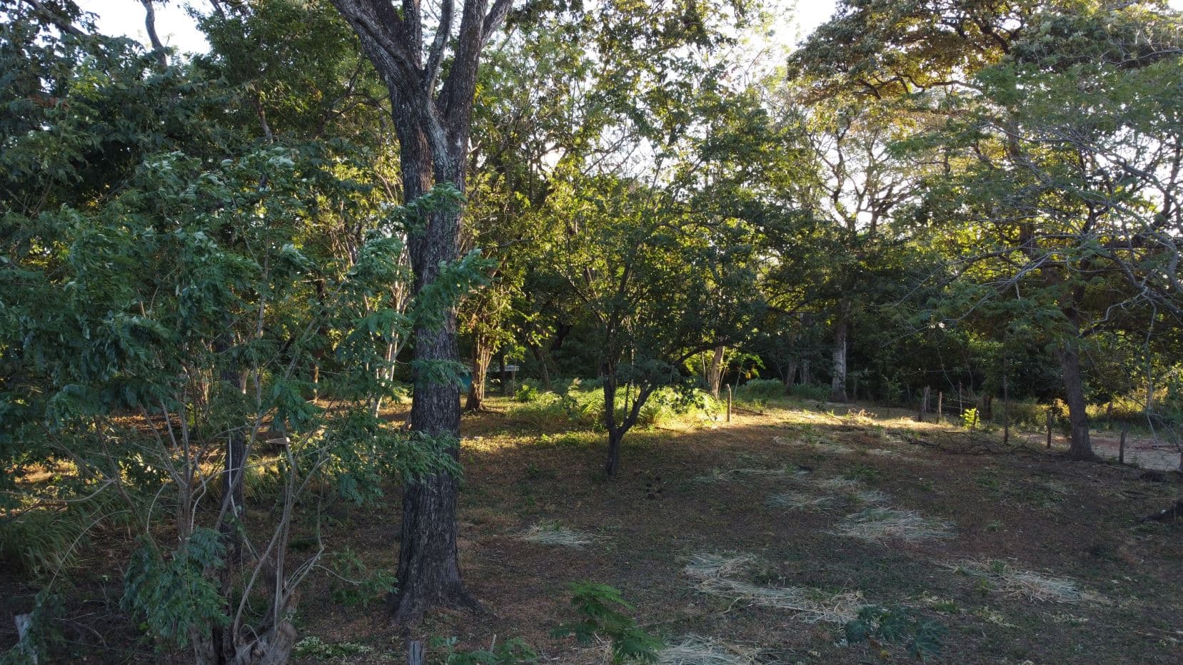 Lot for Sale in Sandillal de Cañas, Guanacaste