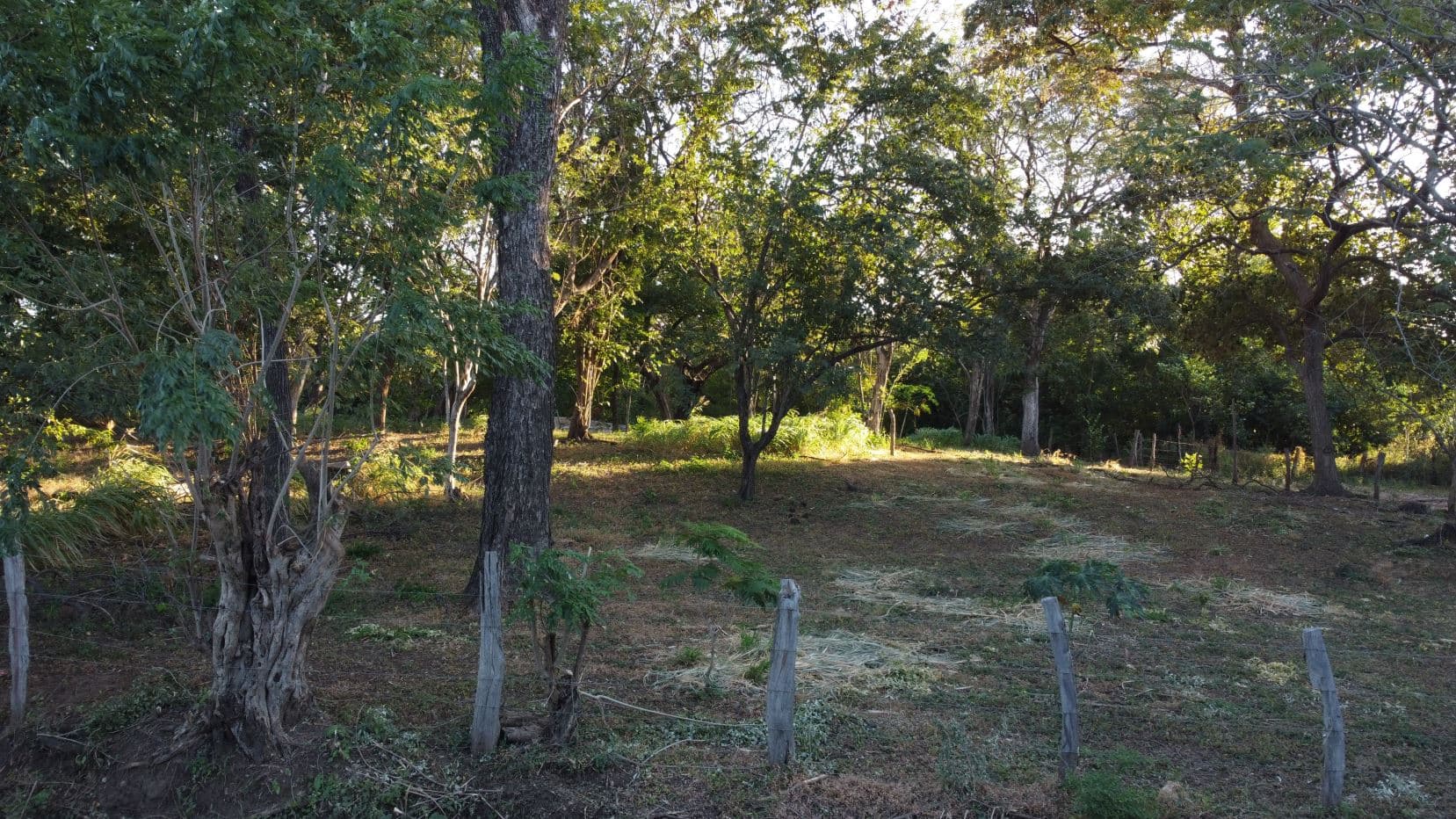 Lot for Sale in Sandillal de Cañas, Guanacaste, photo 3