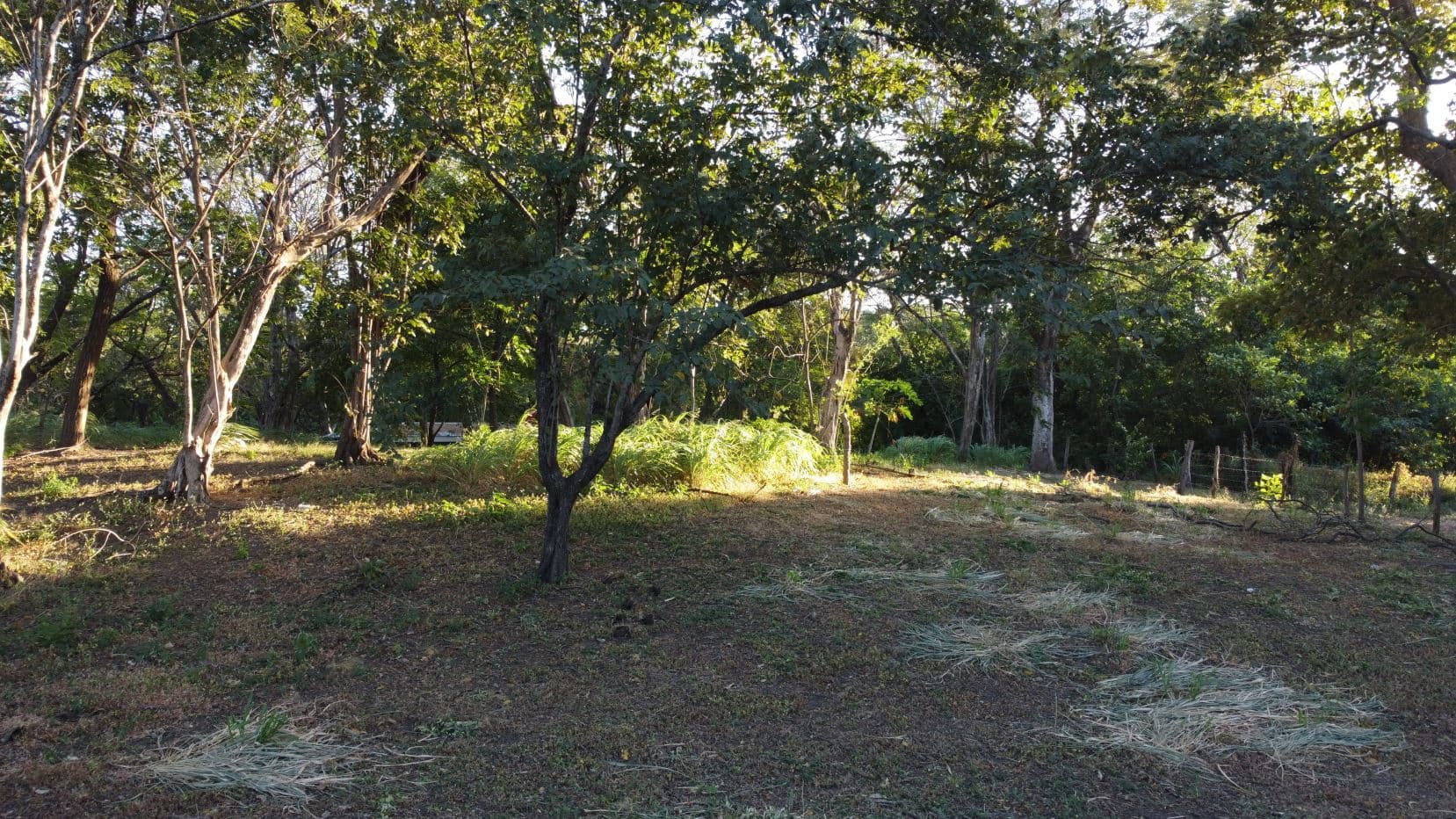 Lot for Sale in Sandillal de Cañas, Guanacaste, photo 4