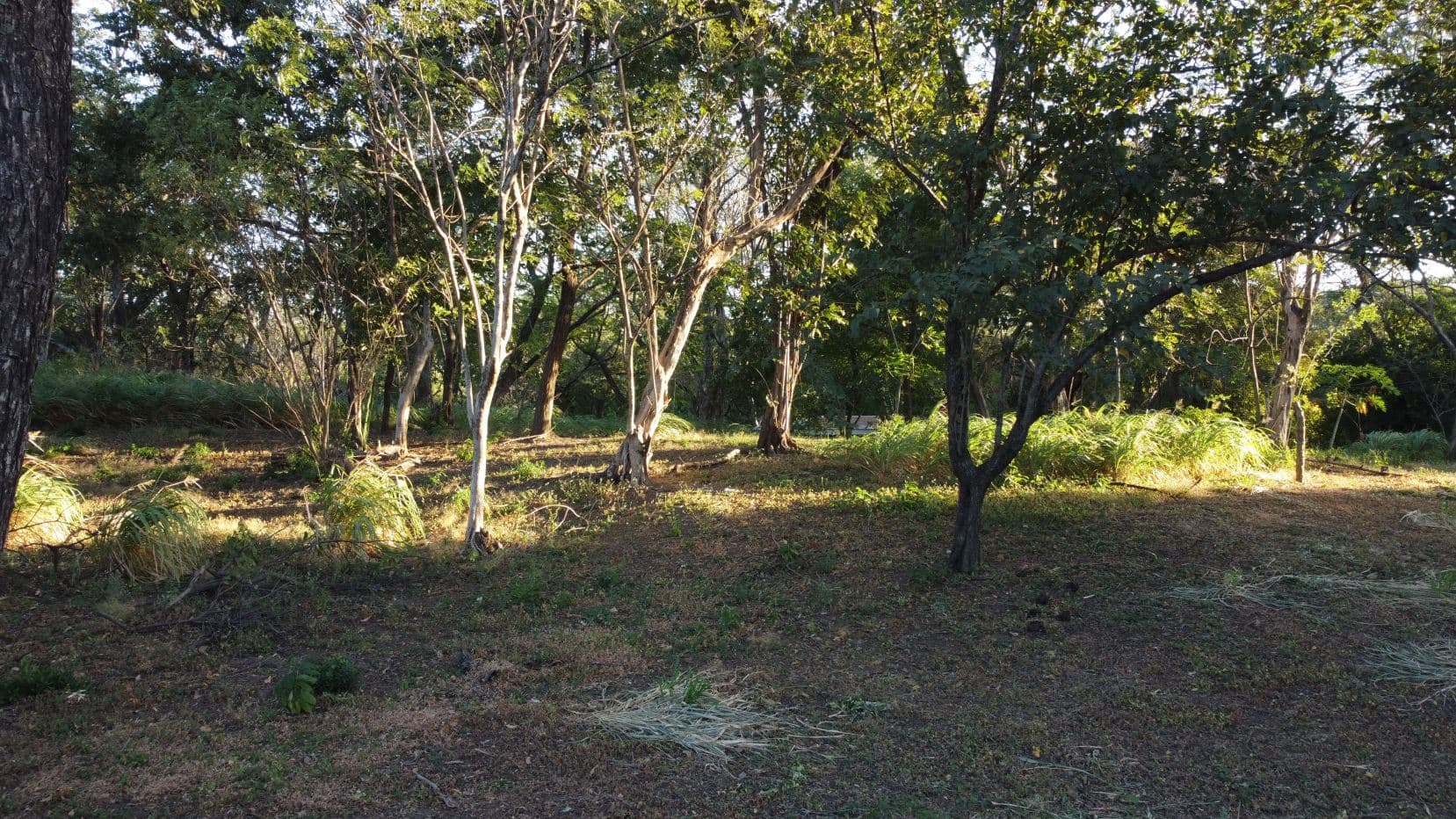 Lot for Sale in Sandillal de Cañas, Guanacaste, photo 11