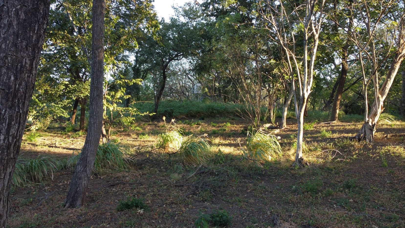 Lot for Sale in Sandillal de Cañas, Guanacaste, photo 7