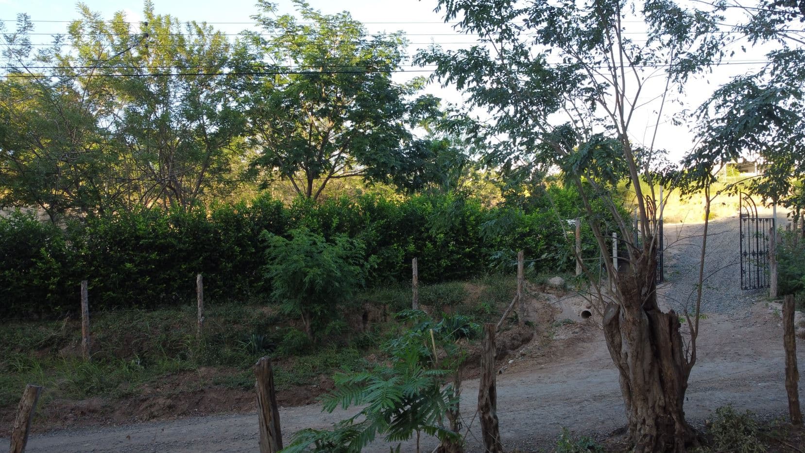 Lot for Sale in Sandillal de Cañas, Guanacaste, photo 8