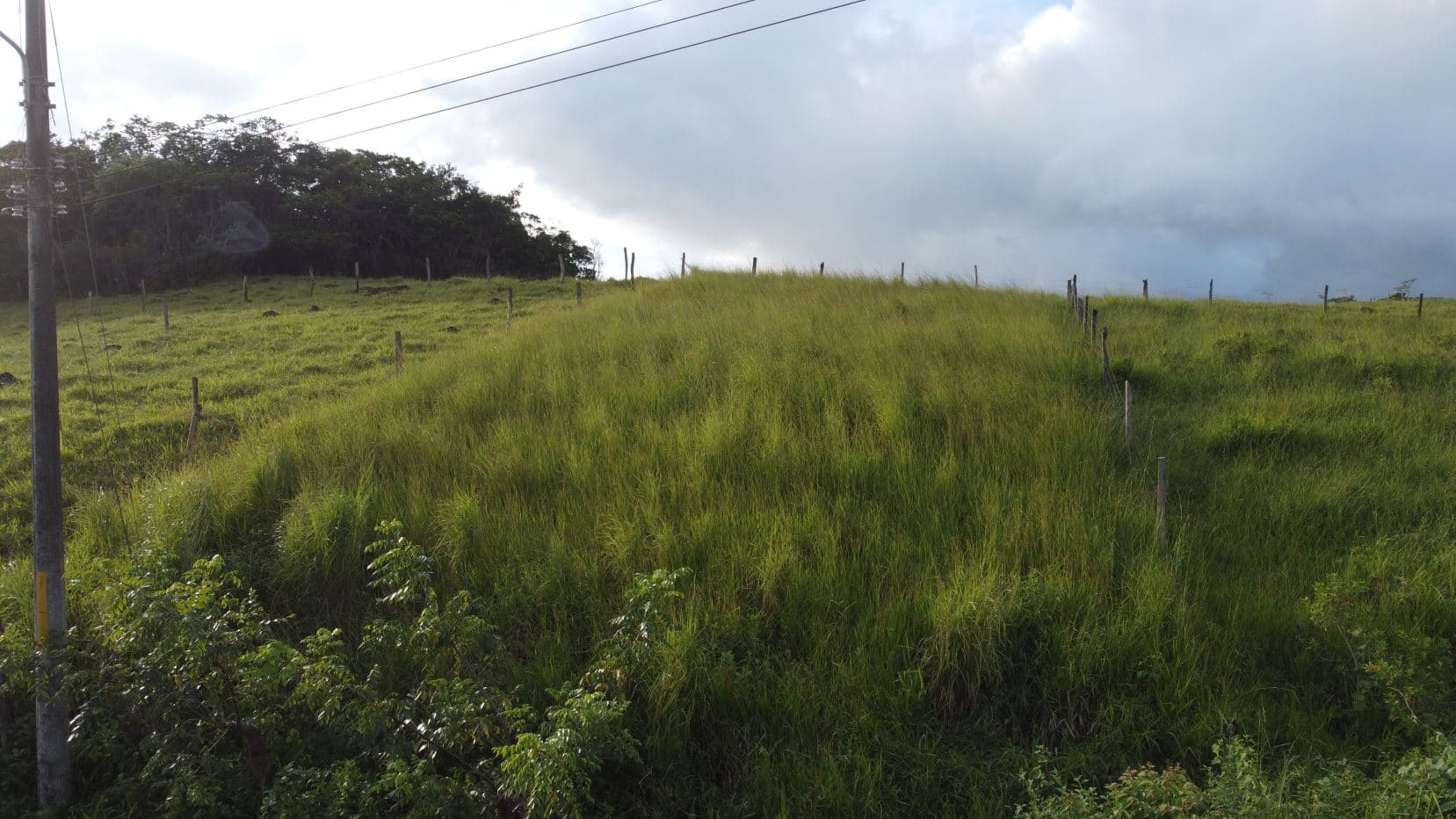 Tenorio View Lot, Agua Caliente de Palmira, photo 2