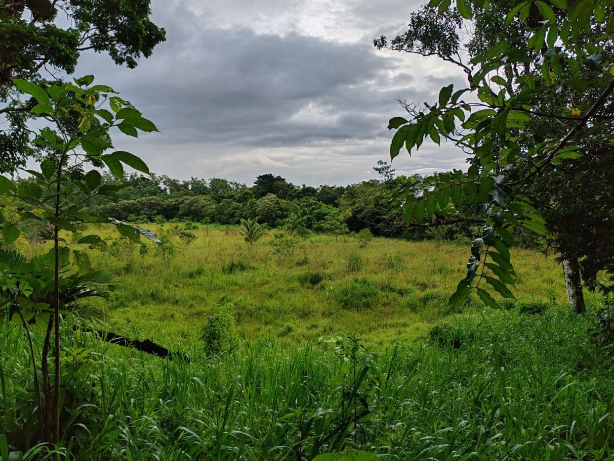 PROPERTY FOR SALE – BIJAGUA, GUANACASTE, photo 9