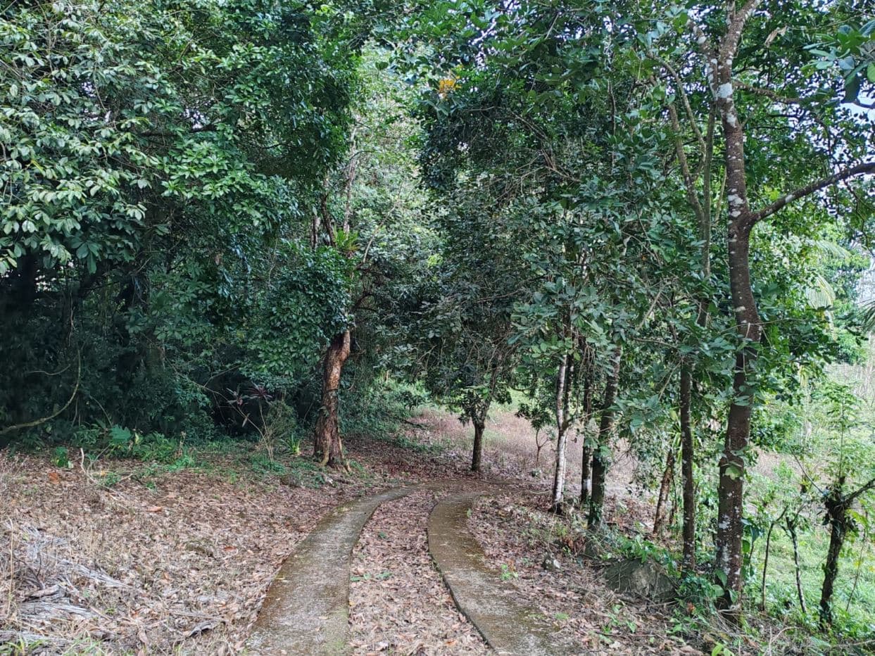 Private Hilltop Property in Upala with Panoramic Views, photo 15