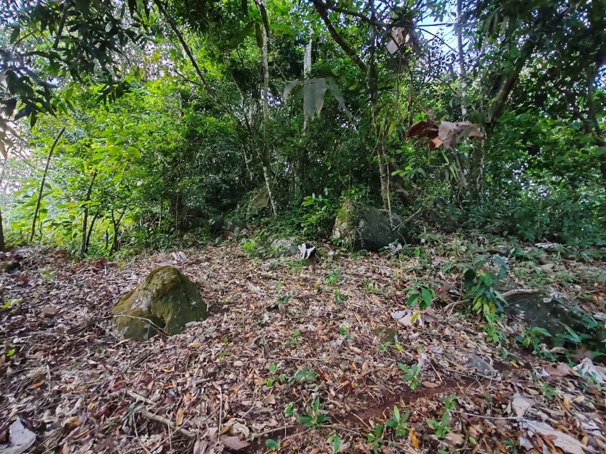 Private Hilltop Property in Upala with Panoramic Views, photo 20