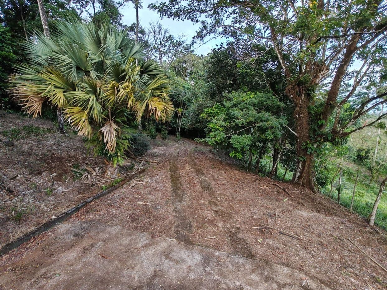 Private Hilltop Property in Upala with Panoramic Views, photo 14