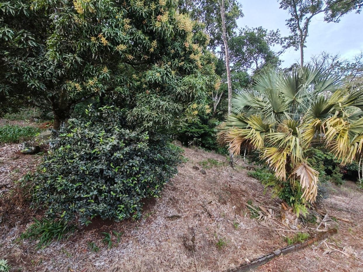 Private Hilltop Property in Upala with Panoramic Views, photo 19