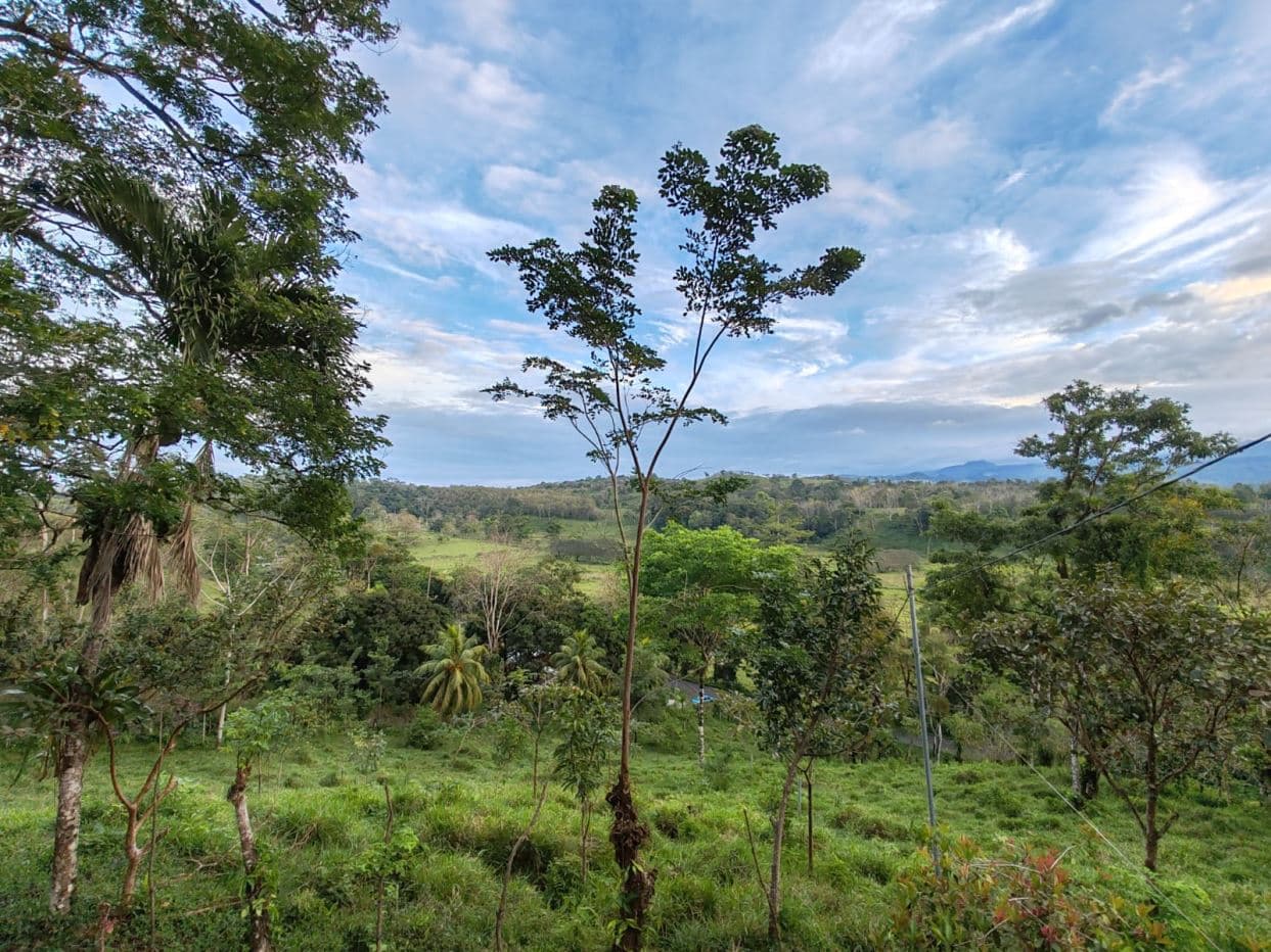 Private Hilltop Property in Upala with Panoramic Views, photo 21