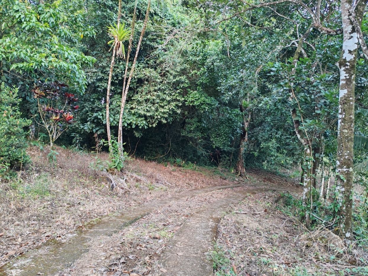 Private Hilltop Property in Upala with Panoramic Views, photo 16