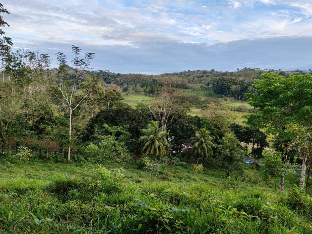 Private Hilltop Property in Upala with Panoramic Views, photo 17
