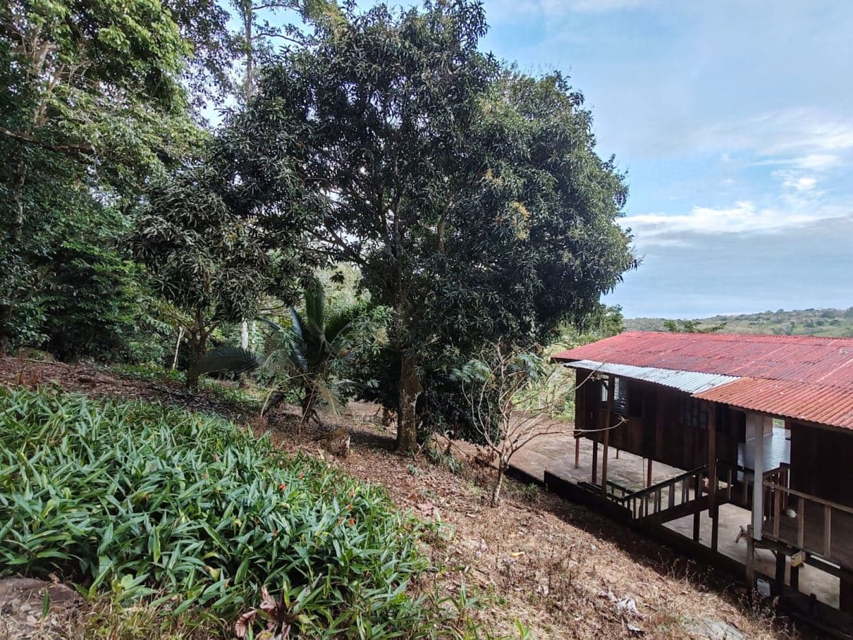 Private Hilltop Property in Upala with Panoramic Views