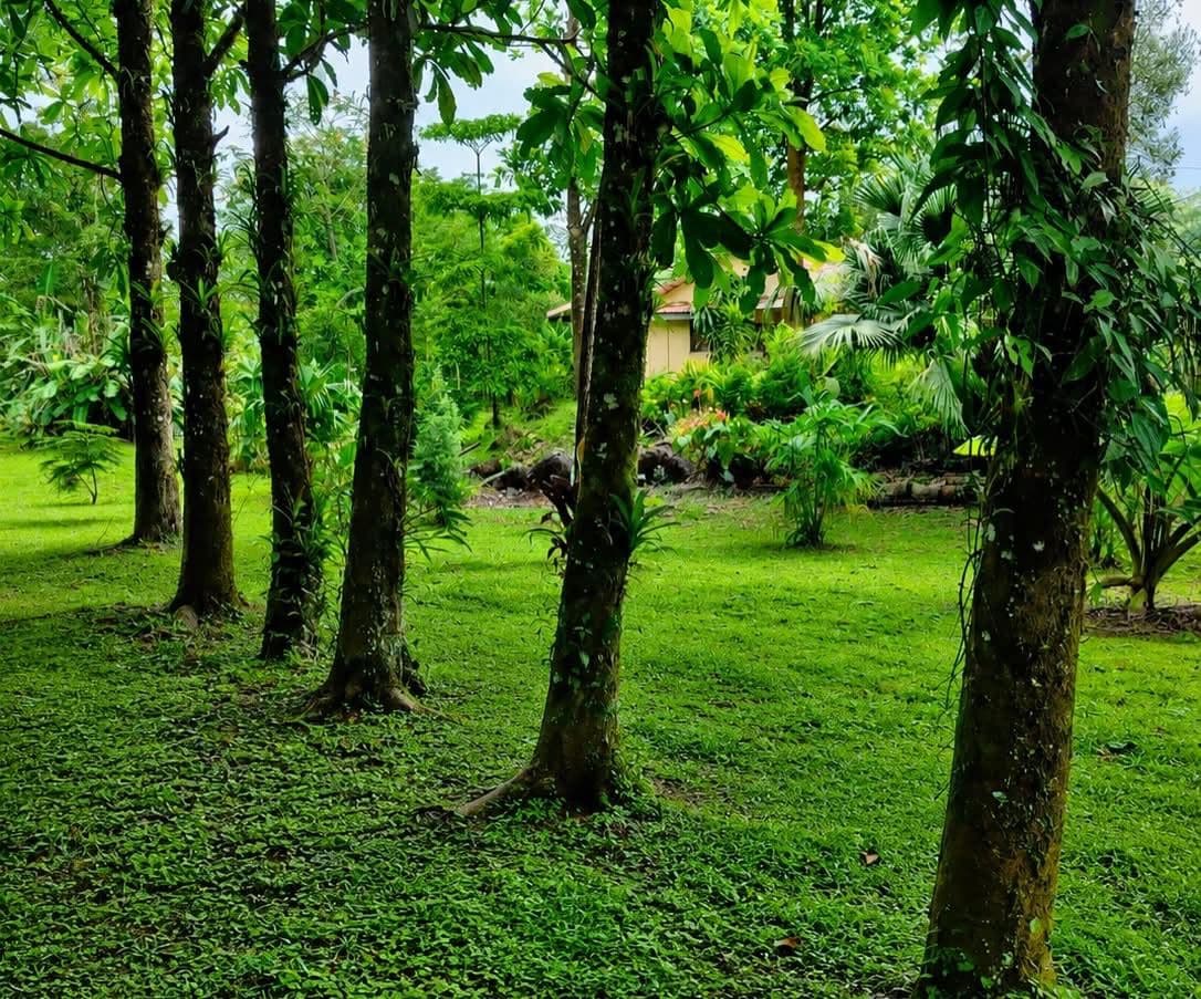 Eco-Tourism Property for Sale – 9,543 m² in Bijagua, Upala, photo 43