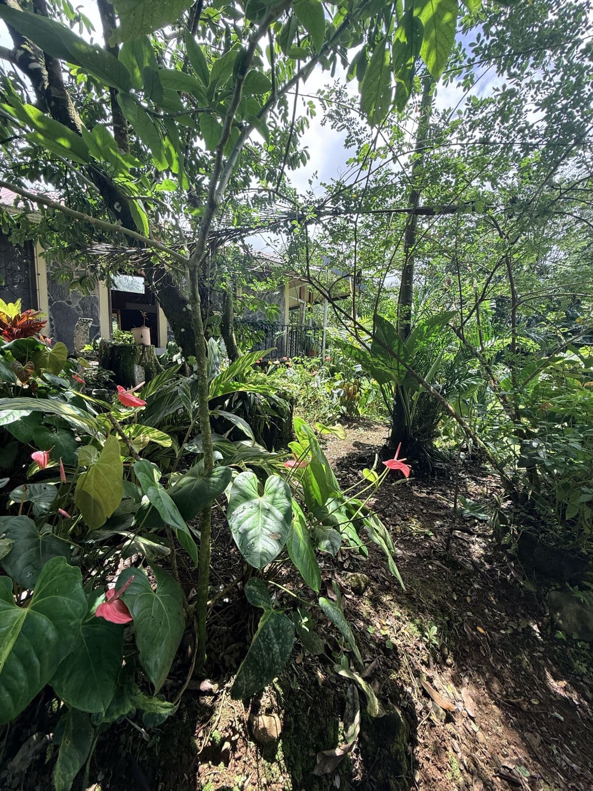 Eco-Tourism Property for Sale – 9,543 m² in Bijagua, Upala, photo 53