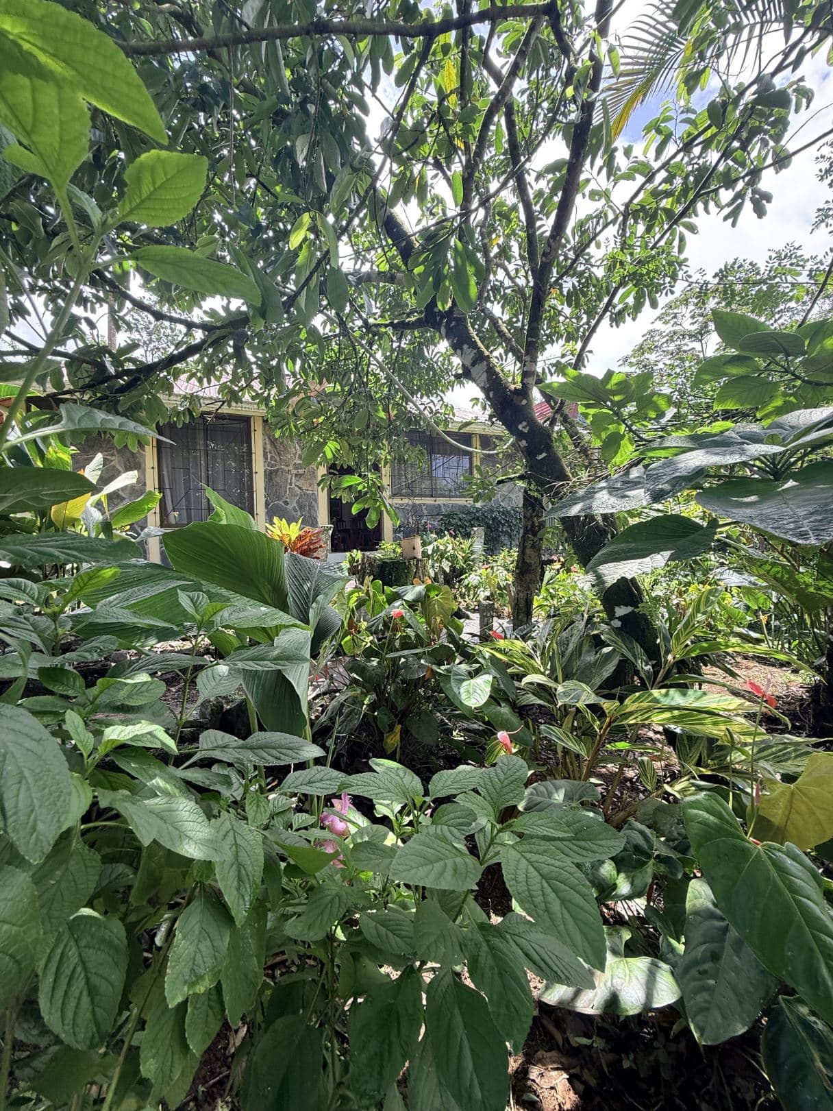 Eco-Tourism Property for Sale – 9,543 m² in Bijagua, Upala, photo 47