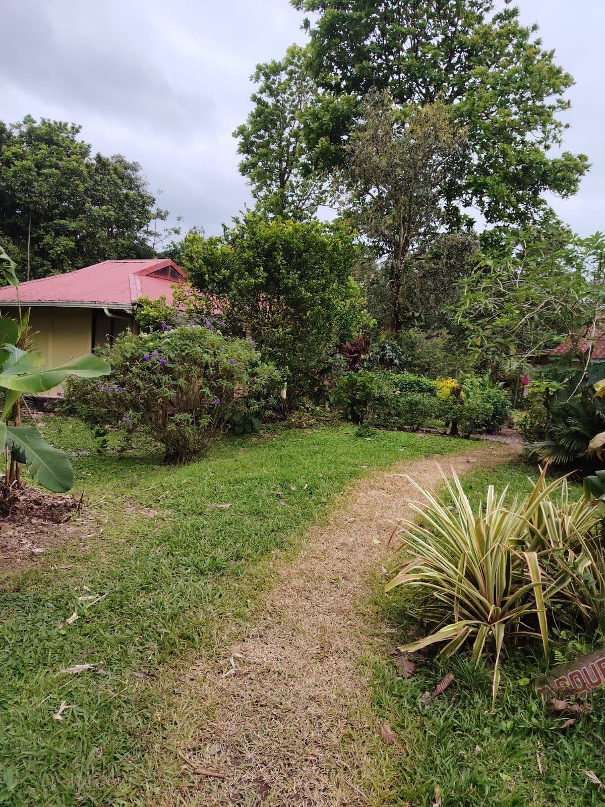 Eco-Tourism Property for Sale – 9,543 m² in Bijagua, Upala, photo 4