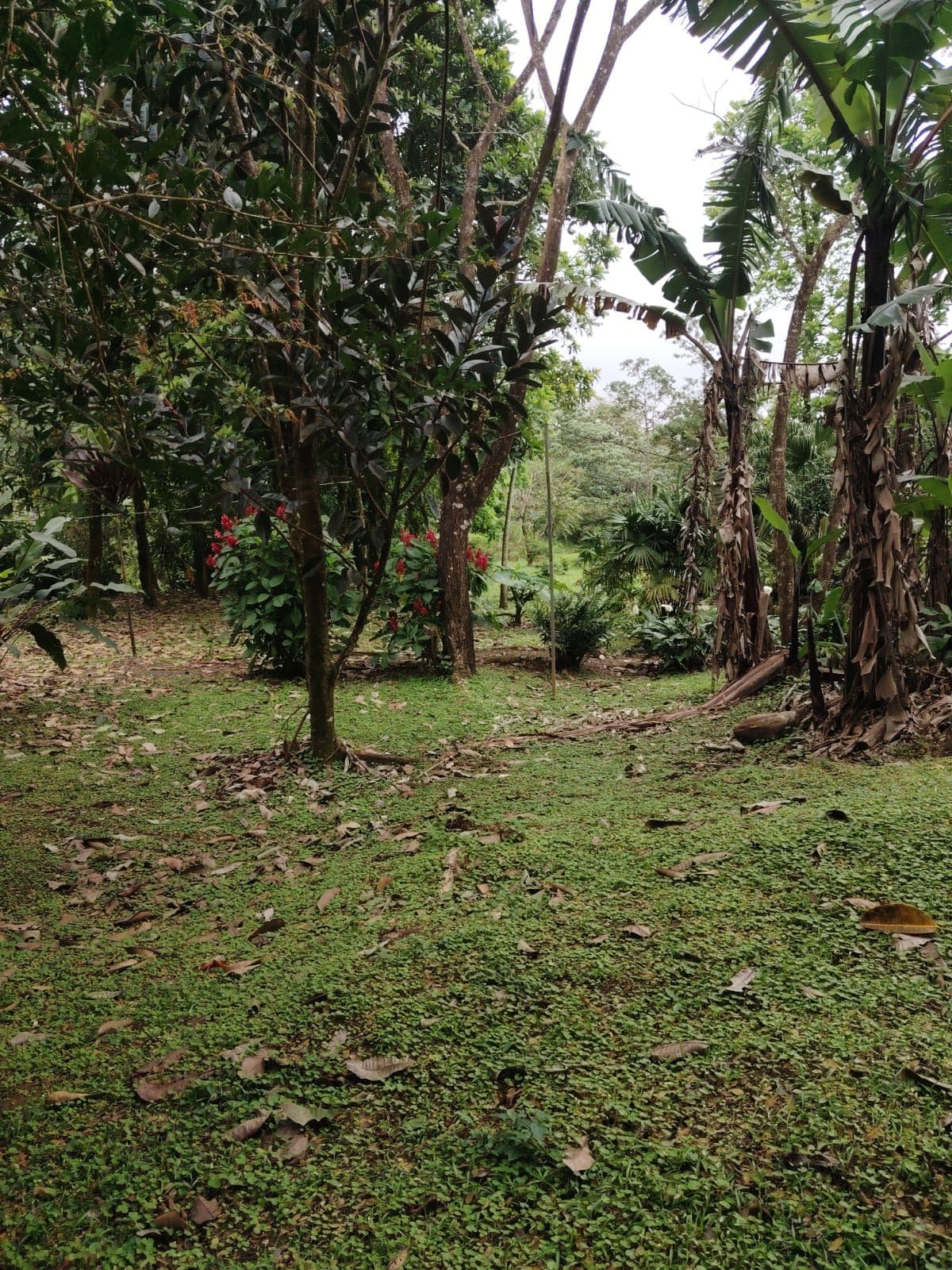 Eco-Tourism Property for Sale – 9,543 m² in Bijagua, Upala, photo 32