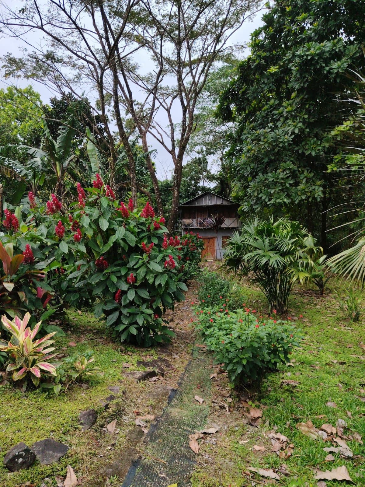 Eco-Tourism Property for Sale – 9,543 m² in Bijagua, Upala, photo 21